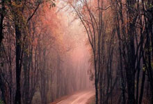 九游体育：1-2！43岁阿隆索跌落神坛，德丙小球队一路逆袭，连斩4强敌进决赛.