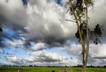 九游体育：12岁男孩完赛半马还跑出国家三级运动员水平？组委会回应：属实.