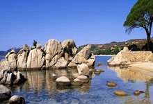 九游体育：[天下足球]榜首之战 拜仁主场战平勒沃库森.